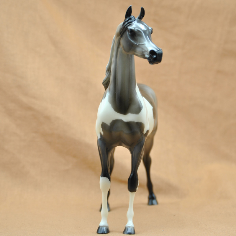 Stone Arabian Stallion VEGAS STORM LR-250