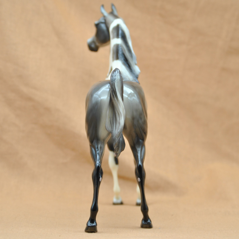 Stone Arabian Stallion VEGAS STORM LR-250