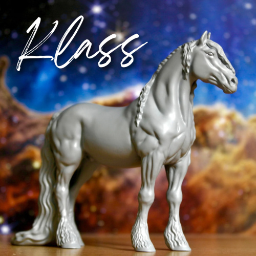 KLAAS - Friesian Stallion