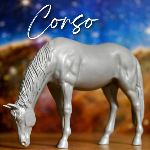 CORSO - Wild Stallion