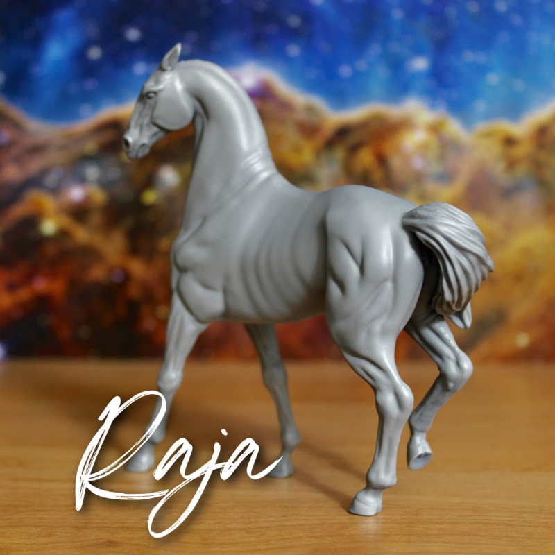 RAJA - Akhal Teke Mare