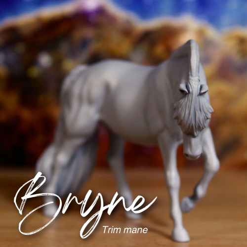 BRYNE (Trimmed mane) - Fjord Mare