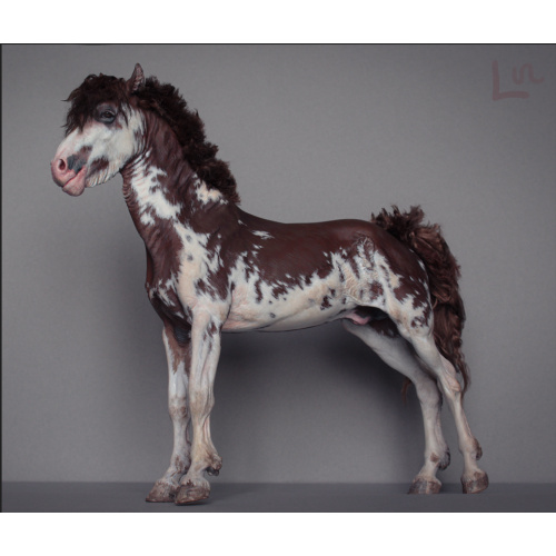 Bleikur artist resin with mohair dark red sabino