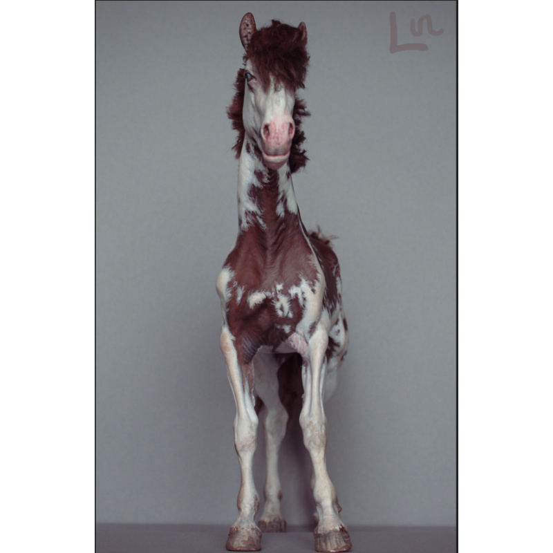 Bleikur artist resin with mohair dark red sabino