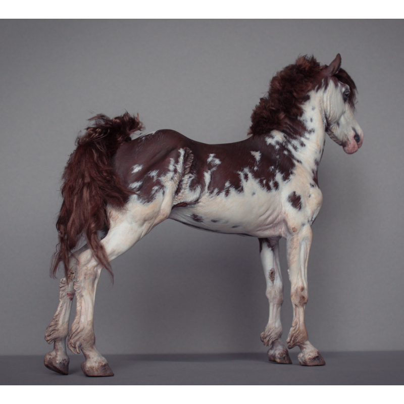 Bleikur artist resin with mohair dark red sabino