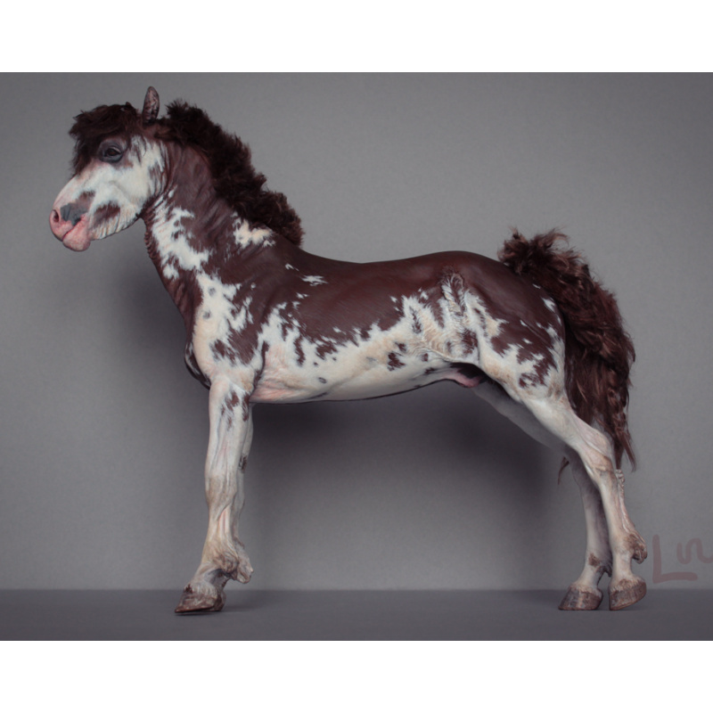 Bleikur artist resin with mohair dark red sabino