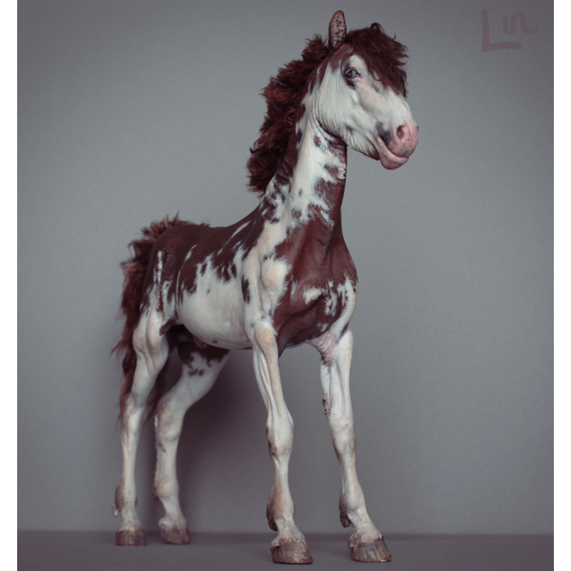 Bleikur artist resin with mohair dark red sabino