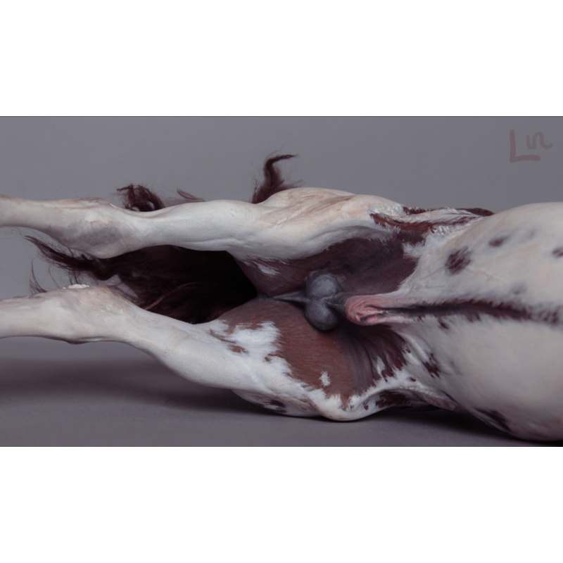 Bleikur artist resin with mohair dark red sabino