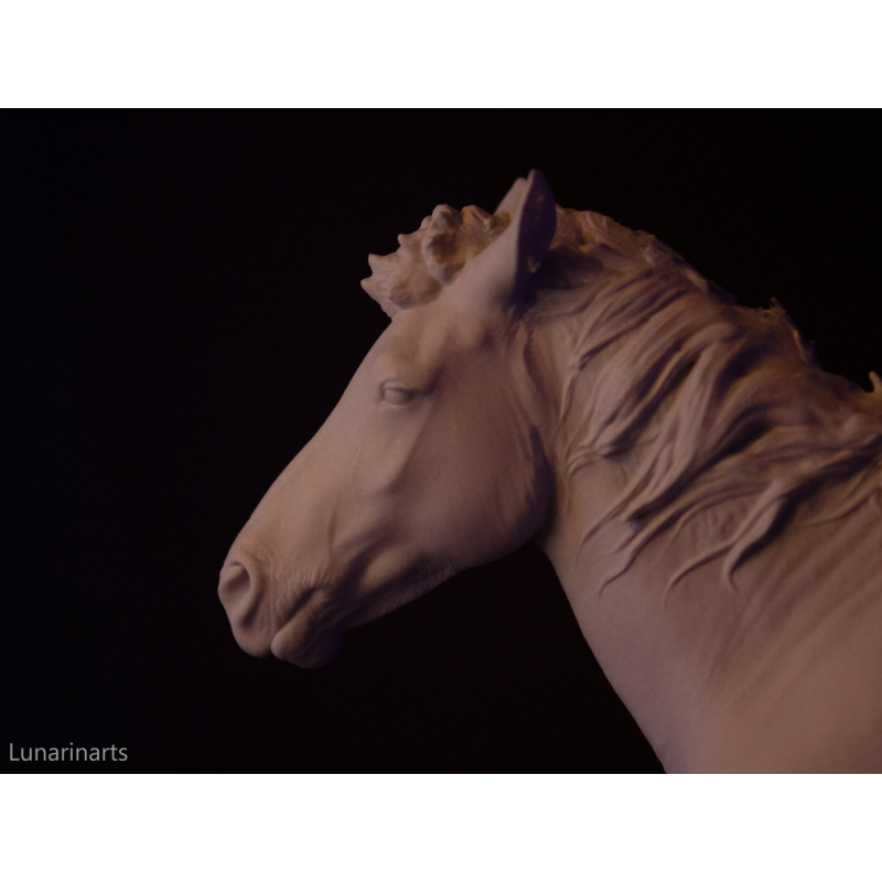 Gwiazdor Hucul pony artist resin