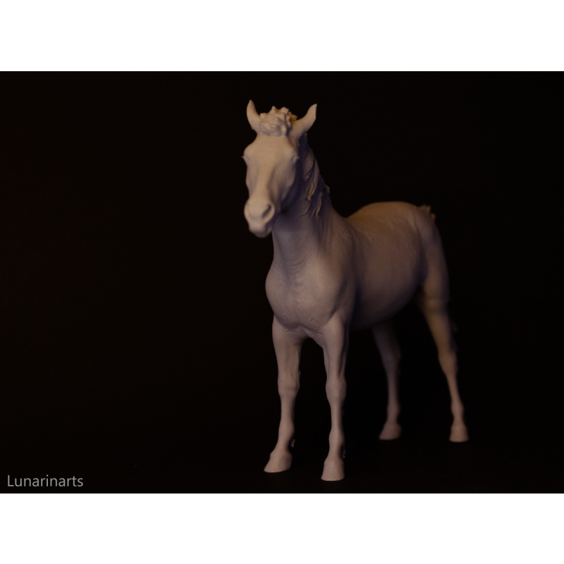 Gwiazdor Hucul pony artist resin