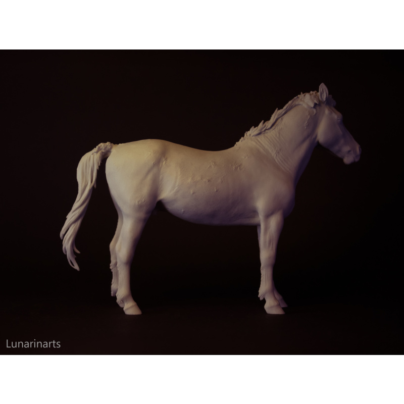 Gwiazdor Hucul pony artist resin