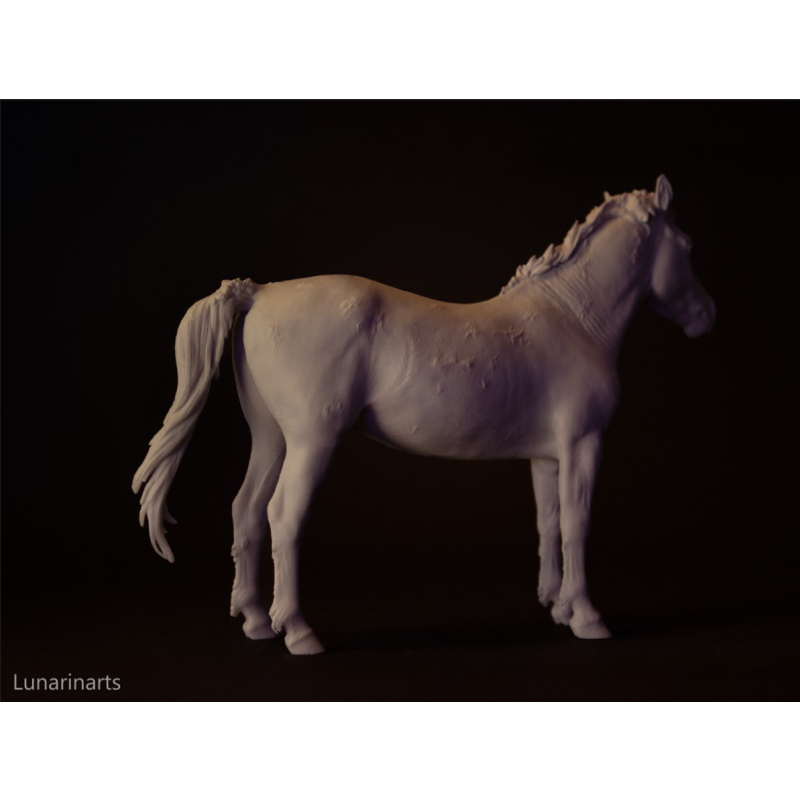 Gwiazdor Hucul pony artist resin