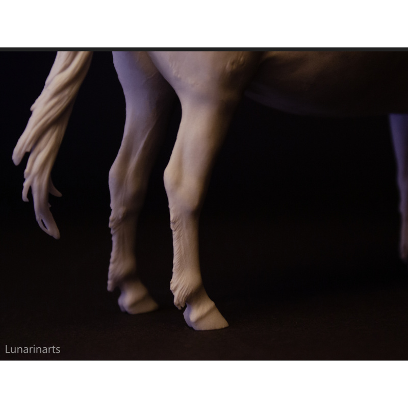 Gwiazdor Hucul pony artist resin