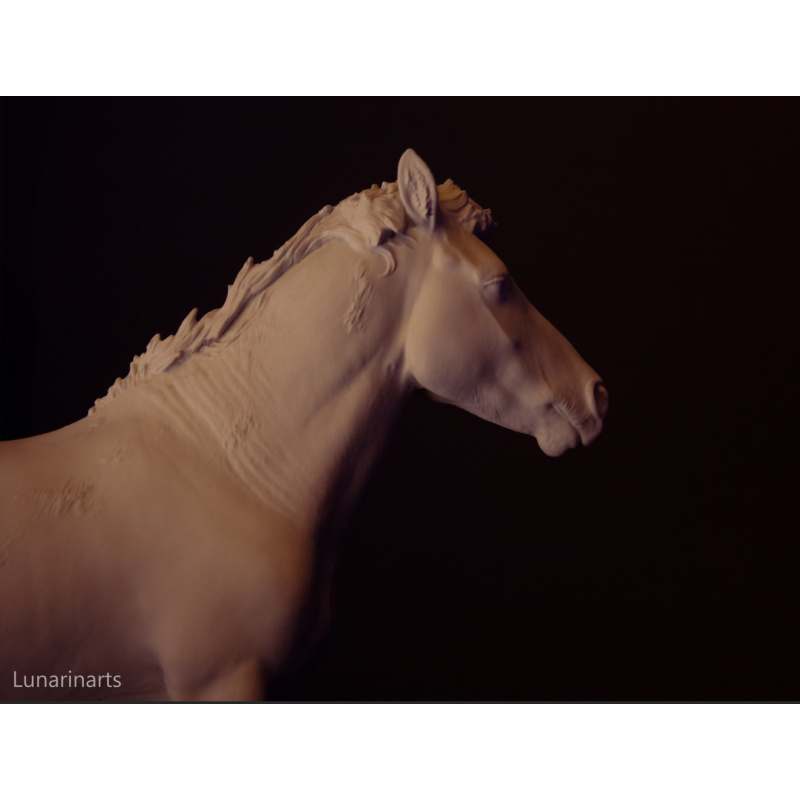 Gwiazdor Hucul pony artist resin