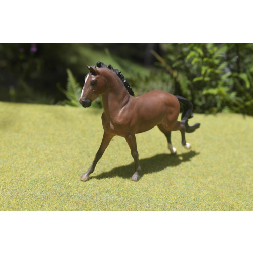 SM Copperfox ISH by Blaylock