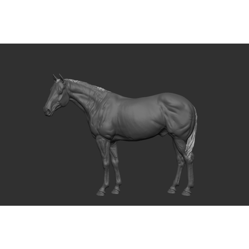 Pickle UNPAINTED stablemate