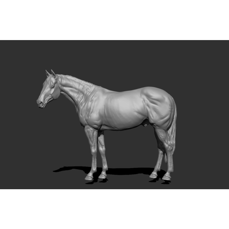 Avocado UNPAINTED stablemate