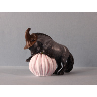 Pumpkin Pony Blue Roan Shetland Pony