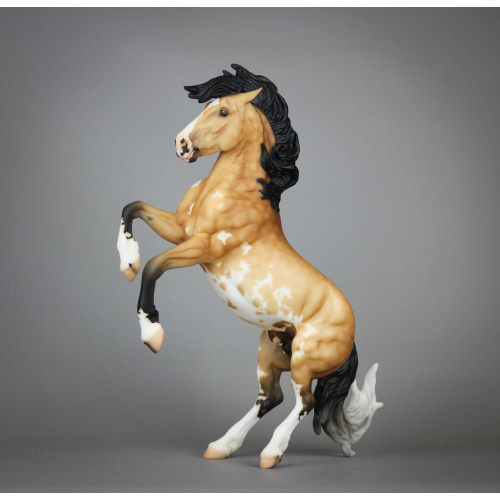 Drastic Fireheart Custom ~ Dapple Sooty Buckskin Sabino Pinto