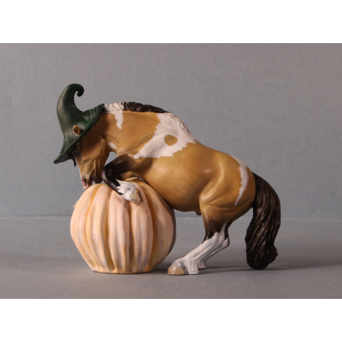 Pumpkin Pony Buckskin Pinto Shetland Pony