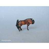 Micro mini by Maggie Bennett Golden Bay Arabian Horse