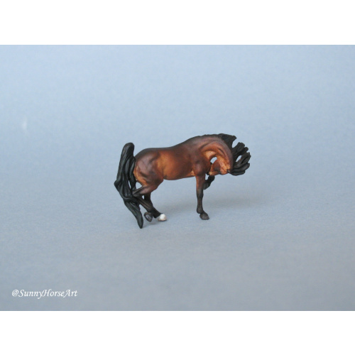 Micro mini by Maggie Bennett Golden Bay Arabian Horse