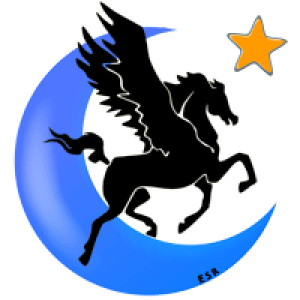 Evening Star Ranch Sales