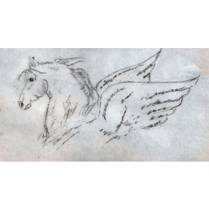 Blackwinged Horse