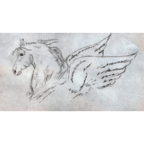 Blackwinged Horse