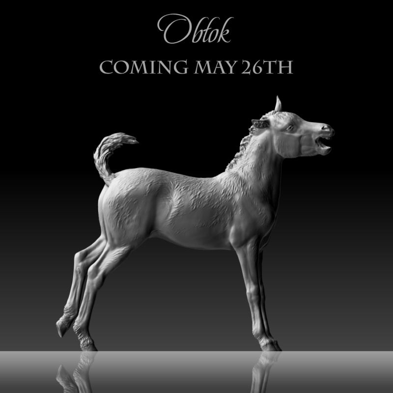 Ostoja & Oblok - Detailed 3D Print Hucul Pair