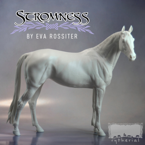 Stromness - Irish Sport Horse Mare
