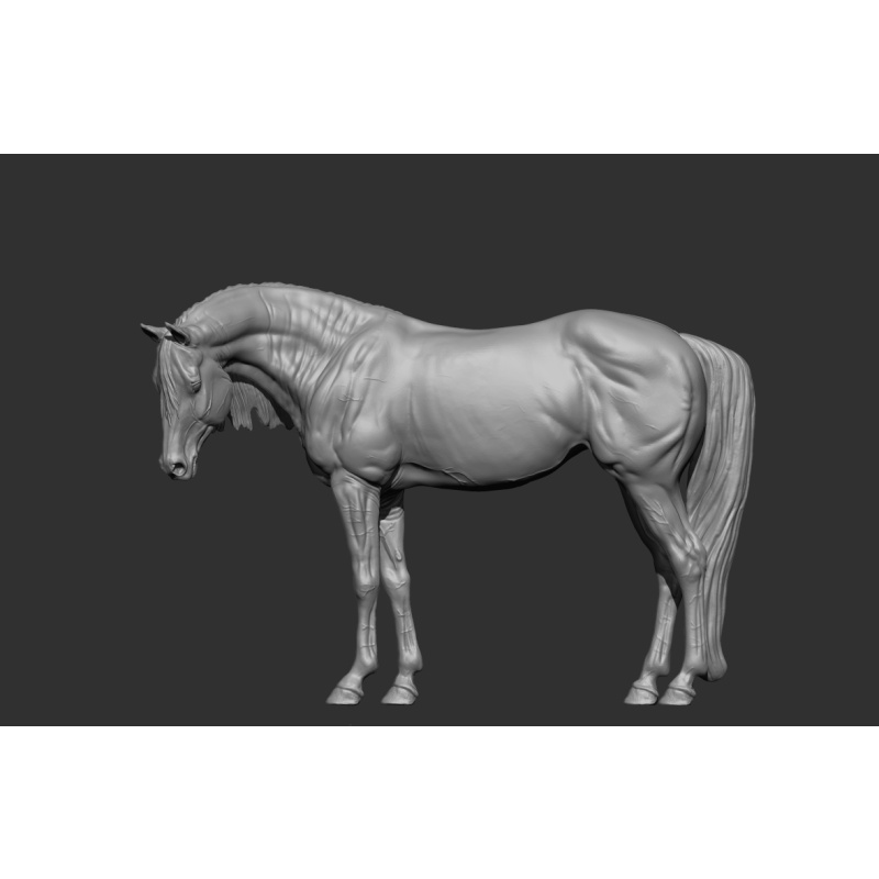 Cinnamon UNPAINTED stablemate
