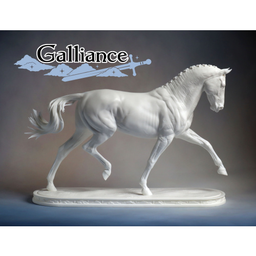 Galliance - Warmblood Stallion